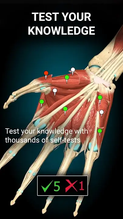 Anatomy Learning - 3D Anatomy mod apk